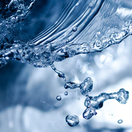 Notre carte d’identité