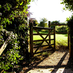 Évaluer la réforme de l’intervention majorée et le nouveau système d’échange de données