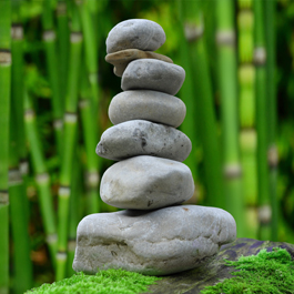 Le mot de notre direction